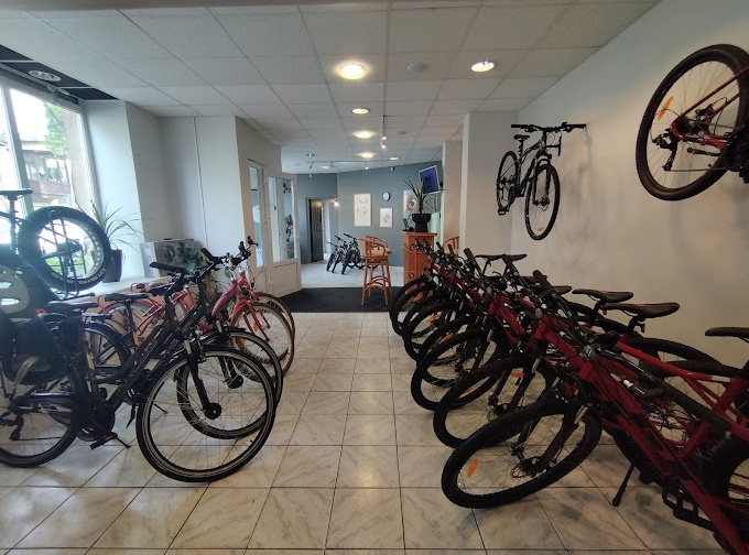 WYPO - Wypożyczalnia Rower&oacute;w