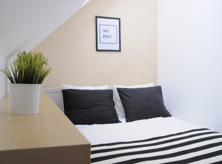 HOSTEL MONTE 49 ?v=2