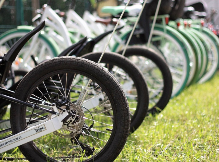 WYPO - sezonowa wypożyczalnia rower&oacute;w