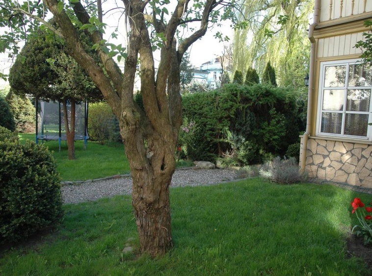 Willa Z Ż&oacute;łtą Werandą ?v=2